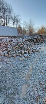 ČISTENIE POZEMKOV💪PÍLENIE DREVA💪KOSENIE KROV.RUČ RYĽOVANIE