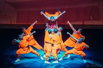 SHAOLIN KUNG FU SHOW 2025