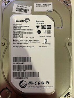 Seagate HD 250GB