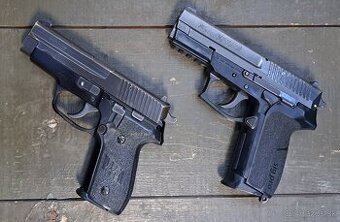 SIG SAUER SP 2022,P228