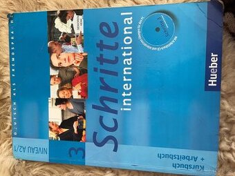 Schritte international