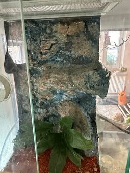 Predám terarium