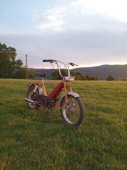 Babeta 207