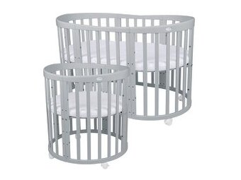 Rastuca postielka Ingvart