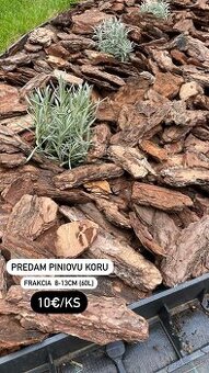 Piniova kora - okrasna kora