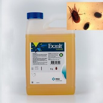Exzolt proti cmelikom