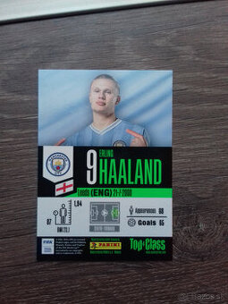 Erling Haaland