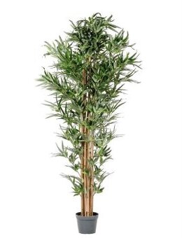 strom bambus 190 cm nemeckej značky plastia