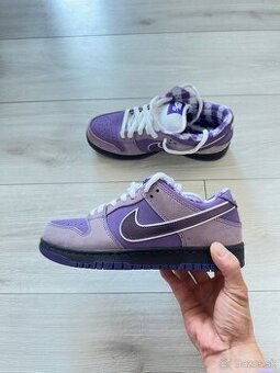Tenisky NIKE SB Dunk low purple