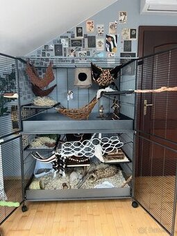 Predam veľkú klietku na drobné hlodavce, napr. potkany