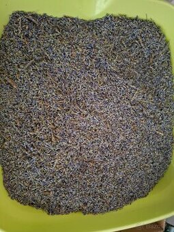 Levanduľa - čerstvo vysušená