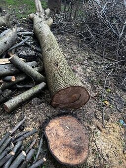 Predam orechove drevo