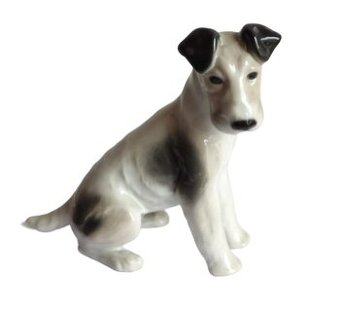 Foxteriér - Německo - Gotha