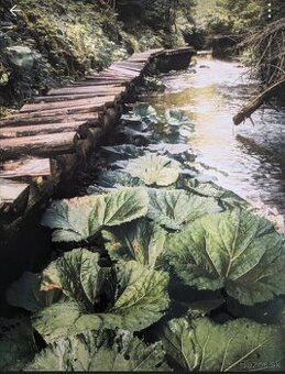 Fotoobraz zo Slovenského raja, oblasť Tomášovská Belá
