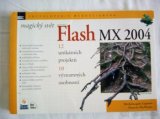 Flash MX 2004 - 1
