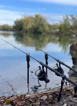 Daiwa Emblem 45 SCW QD