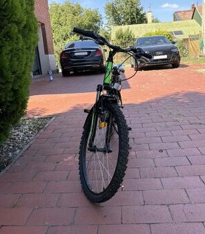 Bicykel Willy 2.0 2019