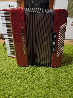 Akordeon Delicia