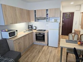 Slnečný a zrekonštruovaný1 izb.byt s balkónom, 45m2 -Hliny 5