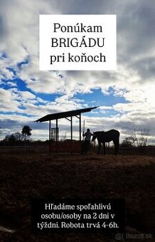 Starostlivosť o kone / stajník