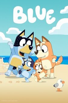 Predám kostým Bluey 130-140 a papučky Bluey