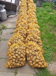 sadenice zemiaky