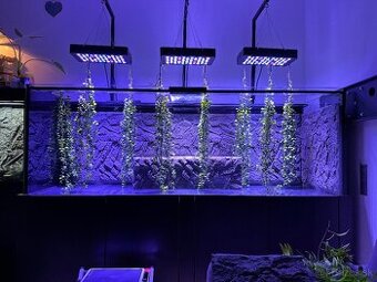 Akvarium /Terarium + svetla + stolík