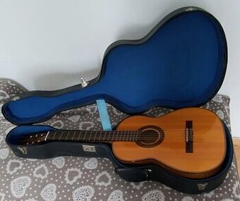 Gitara Schneider