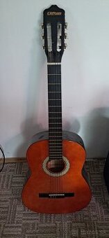 Predam gitaru