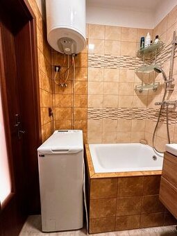 Dám do dlhodobého prenájmu jednoizbový byt s terasou v Rovin - 1