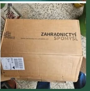 Zemolez Kamčatský