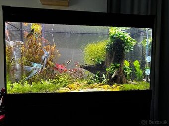 Akvarium 112l