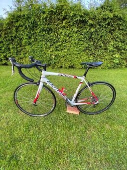 Predam Specialized