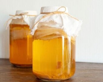 Predám Kombucha SCOBY