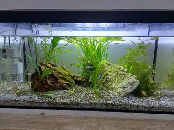 Predam Akvarium Aquael 60l