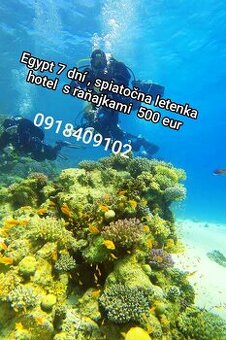 Potápanie v Egypte