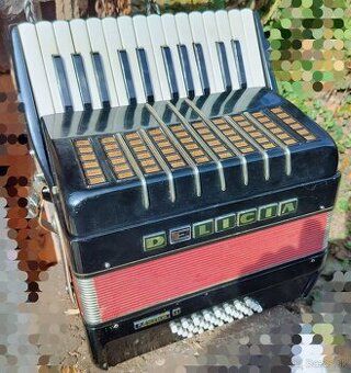 Akordeon Harmonika Delicia Junior I