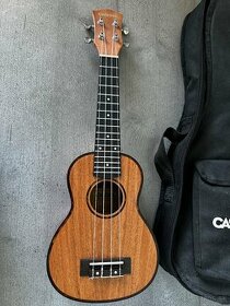 ukulele Cascha - 1
