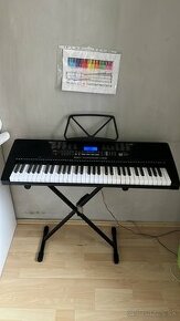 Keyboard Schubert Etude 225