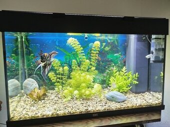 Akváriový set Juwel Rio Led 125 + CO2 set