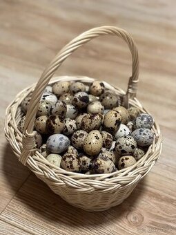 Prepeličie vajíčka