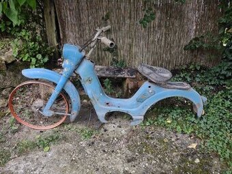 Jawetta 551 - 1