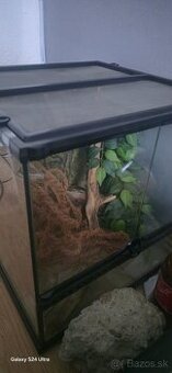 Terarium - 1
