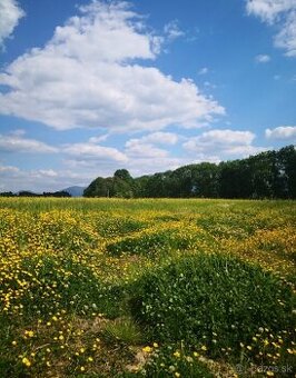 Na predaj exkluzívny pozemok pri Liptovskej Mare – len 150 m