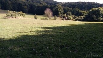 Pozemky (lesy, pasienky, lúky) v k.ú. Šípkov - predám.