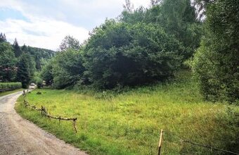 Pozemok na rekreačné účely - Ružomberok - Trlenská dolina
