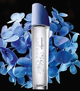 Pur Blanca Elegance 50 ml