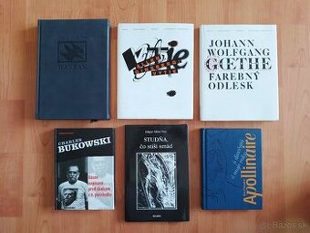 Zahraničná poézia Poe, Bukowski, Goethe, Apollinaire