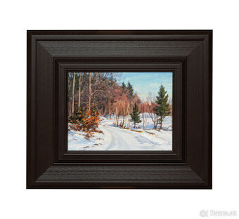 Martin Djuračka - Zimný motív