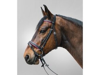 Anglicka uzda fuksia